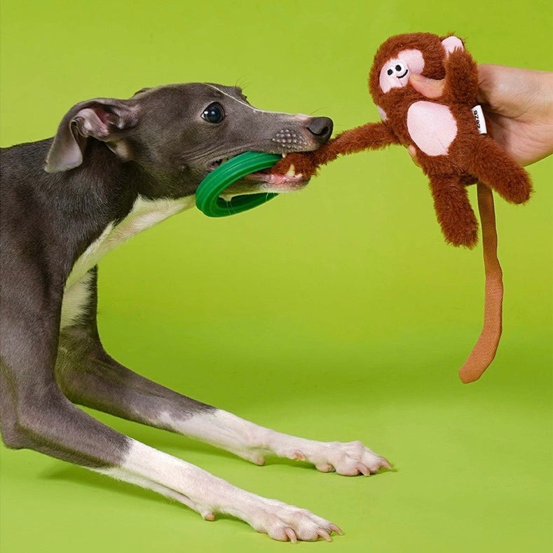 Cherry, Monkey and Fok-Look Chew Toys