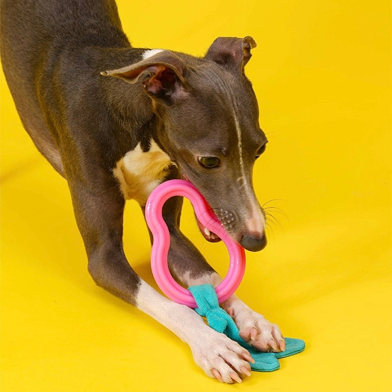 Cherry, Monkey and Fok-Look Chew Toys