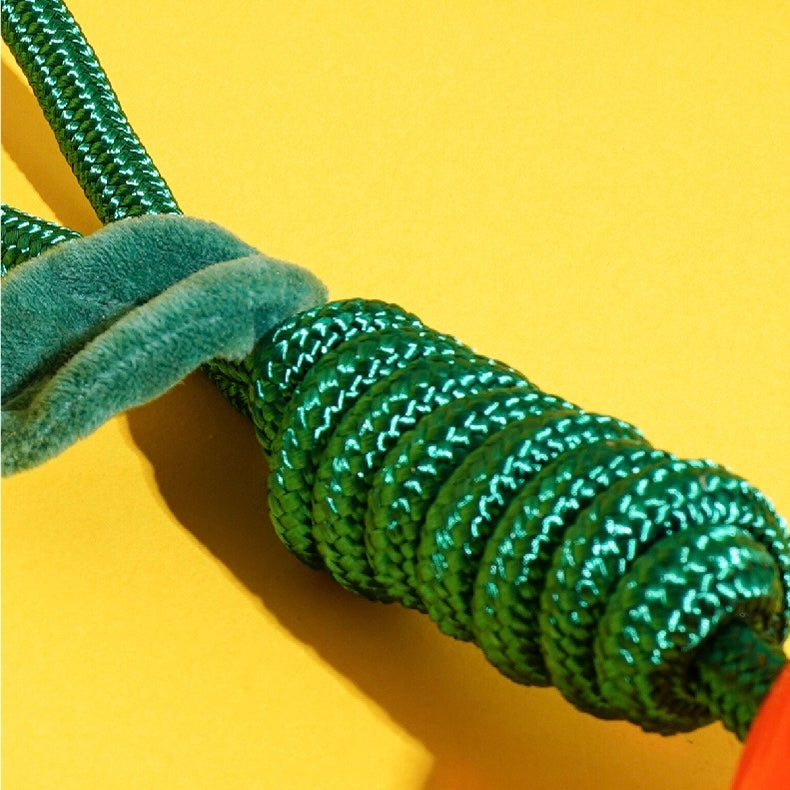 Delicious Fruits Chew Toy