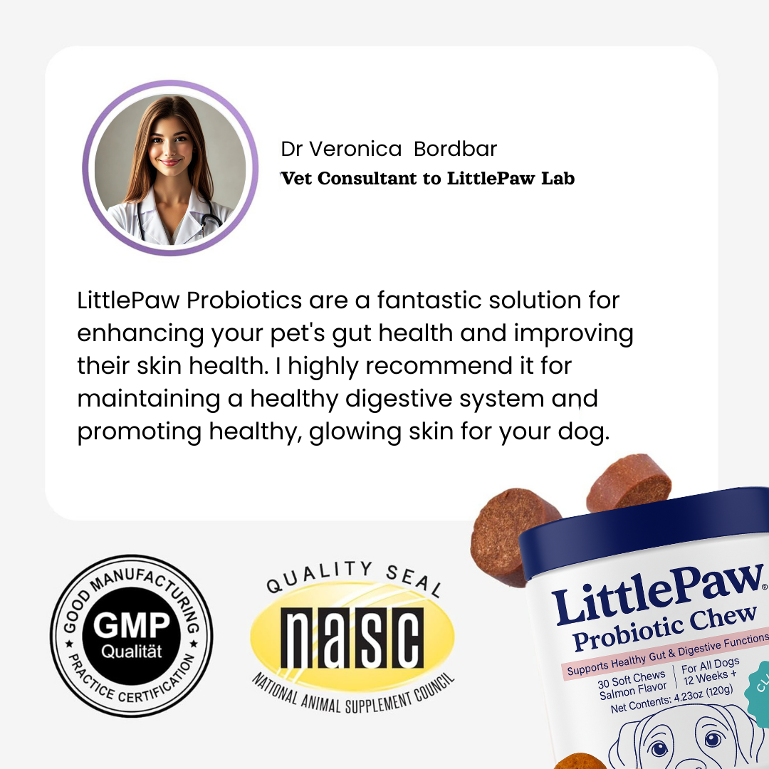 LittlePaw Lab Probiotics for Dogs