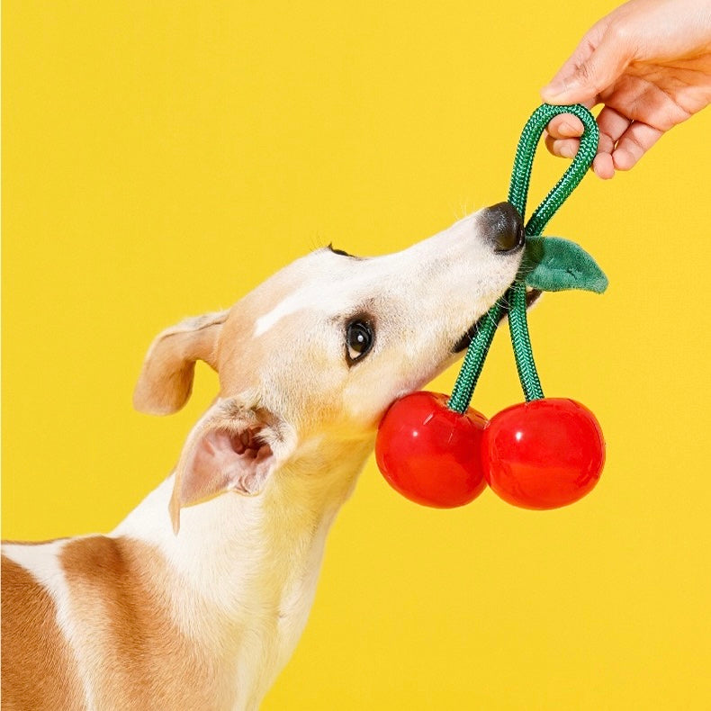 Delicious Fruits Chew Toy