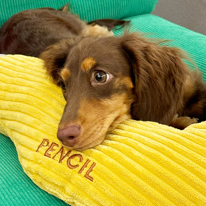 Whimsical Pencil & Candle Pet Pillow