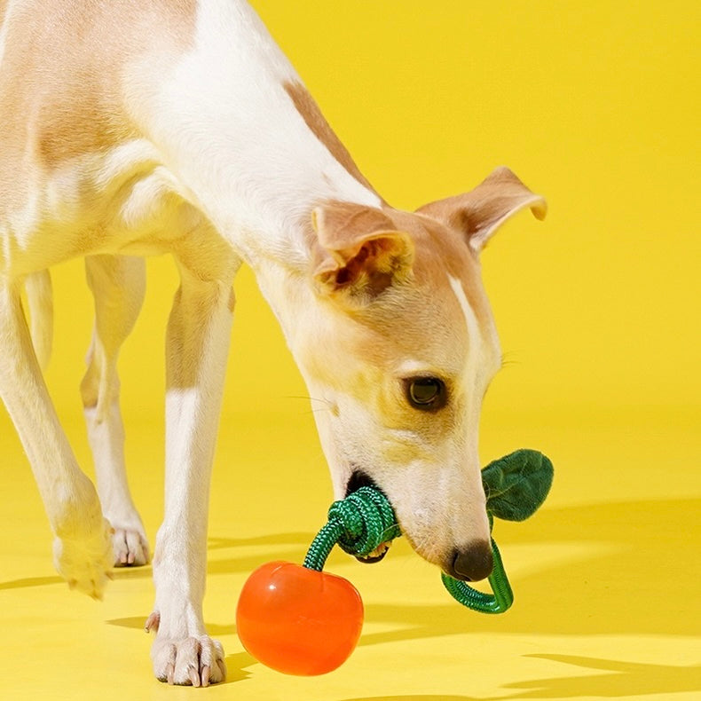 Delicious Fruits Chew Toy
