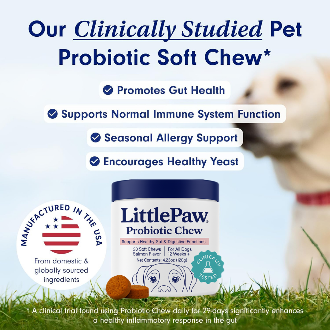 LittlePaw Lab Probiotics for Dogs