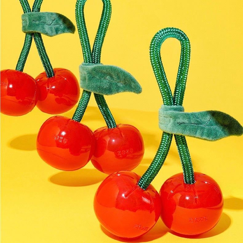 Delicious Fruits Chew Toy