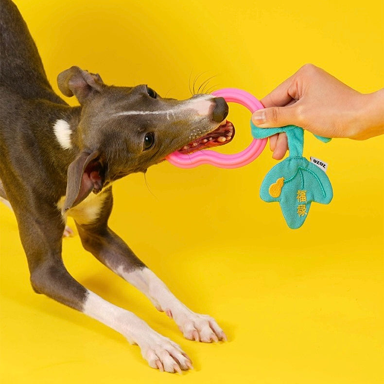 Cherry, Monkey and Fok-Look Chew Toys