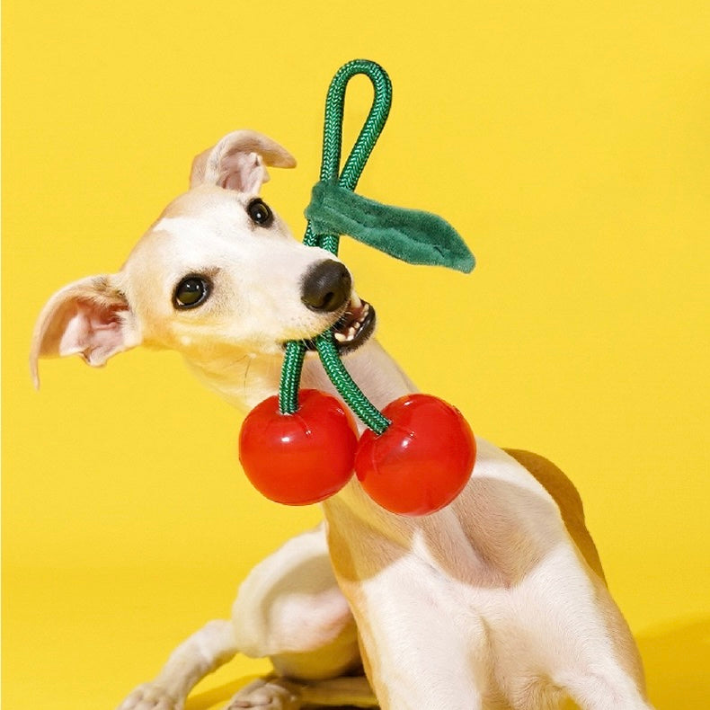 Delicious Fruits Chew Toy