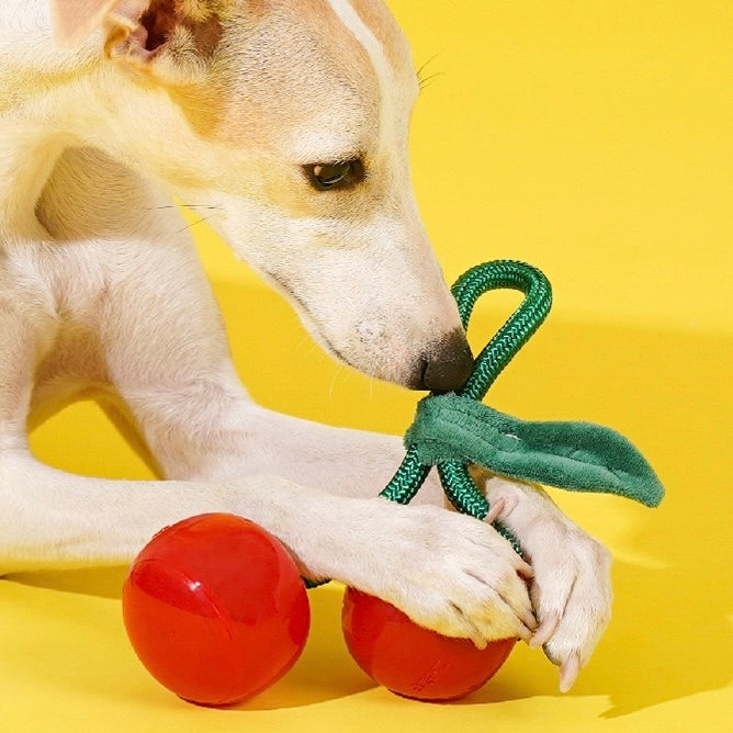Delicious Fruits Chew Toy