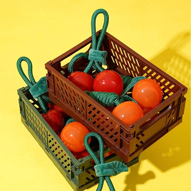 Delicious Fruits Chew Toy