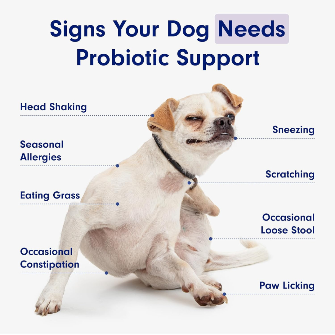 LittlePaw Lab Probiotics for Dogs
