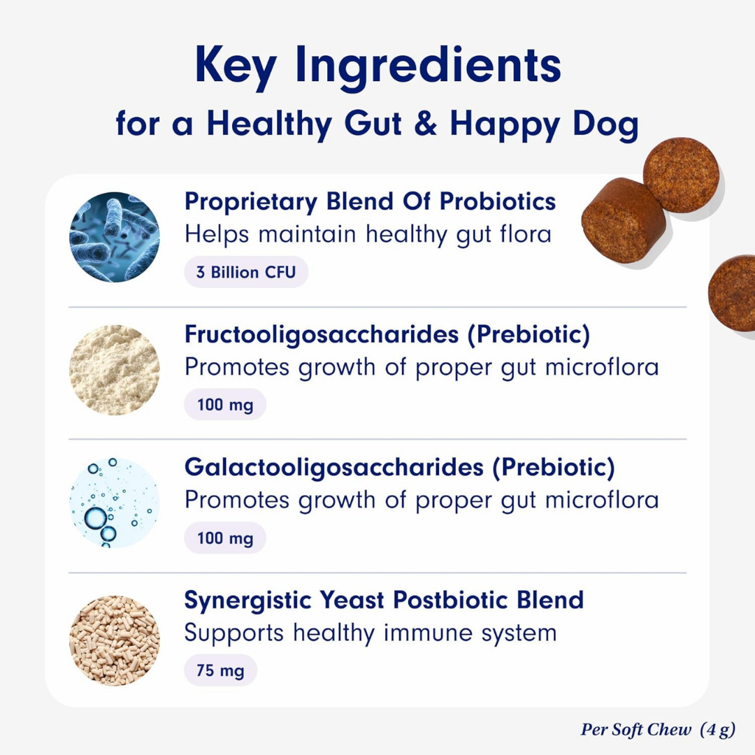 LittlePaw Lab Probiotics for Dogs