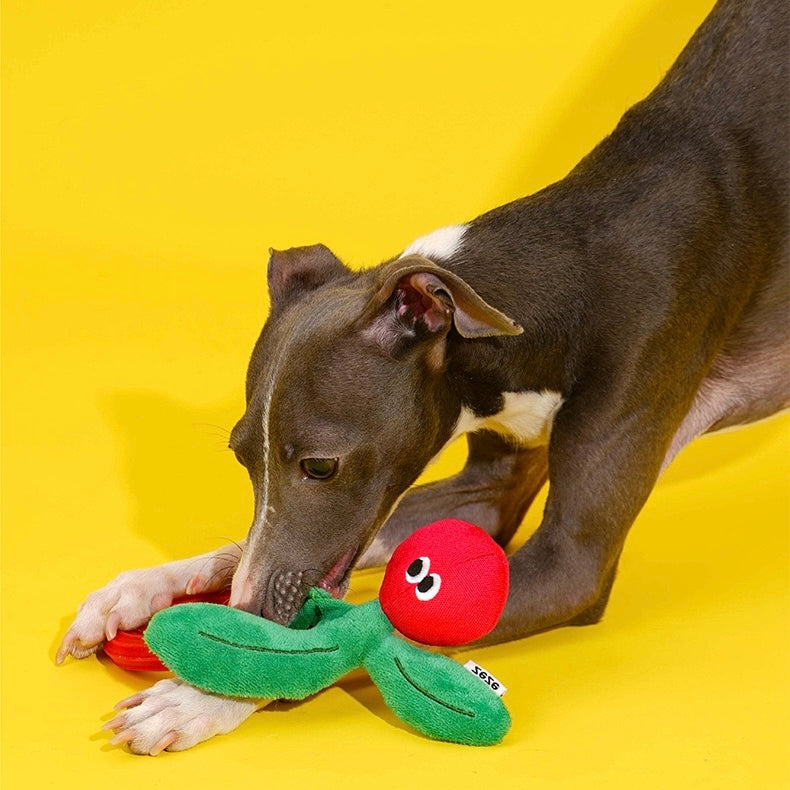 Cherry, Monkey and Fok-Look Chew Toys