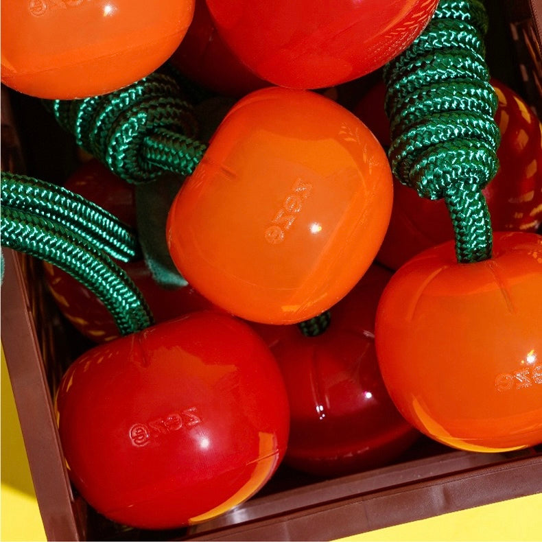 Delicious Fruits Chew Toy