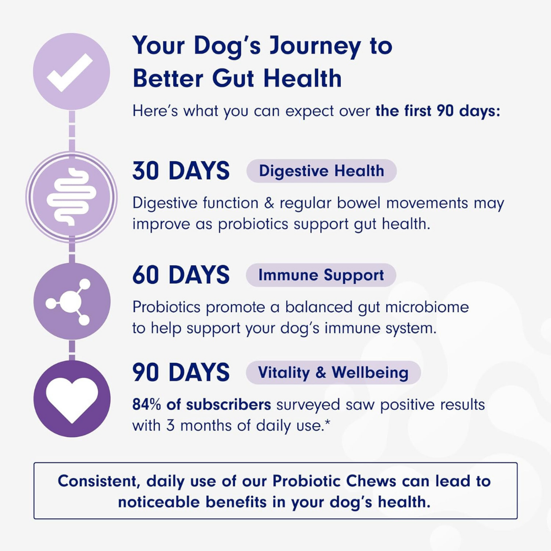 LittlePaw Lab Probiotics for Dogs