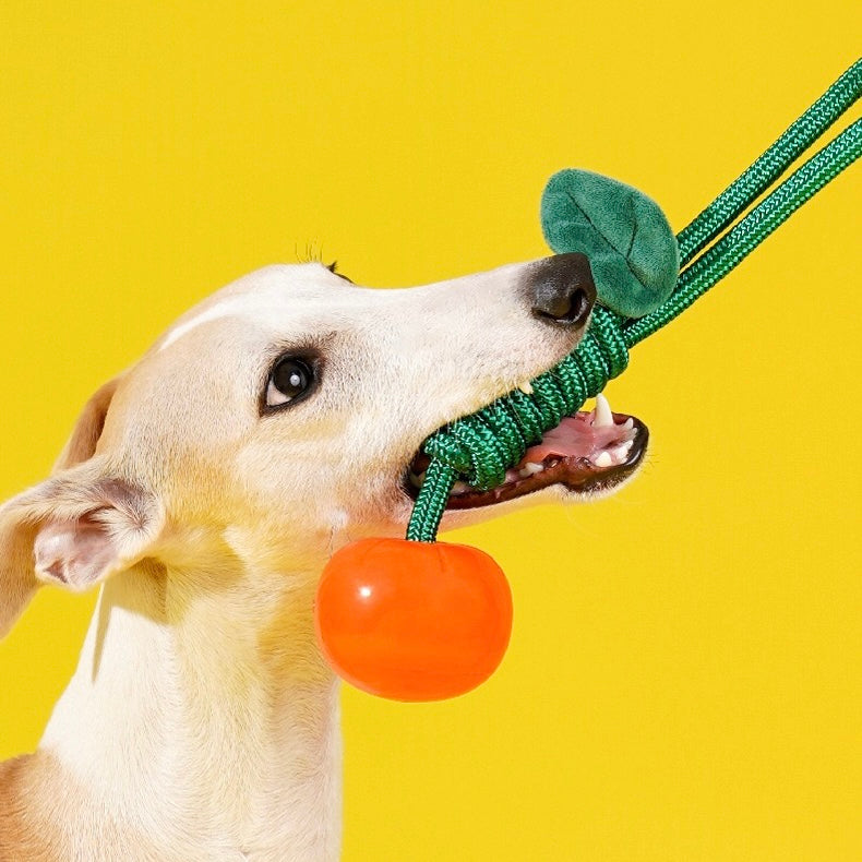 Delicious Fruits Chew Toy
