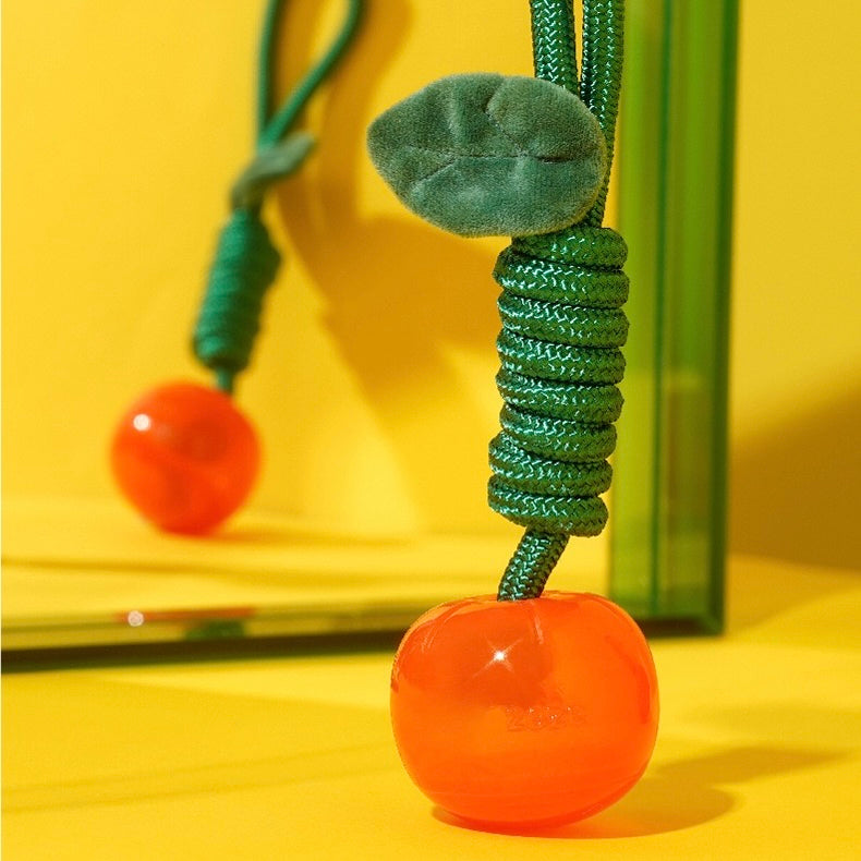 Delicious Fruits Chew Toy
