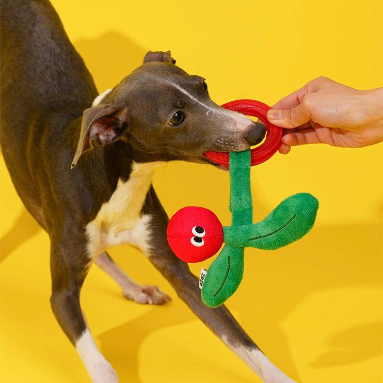 Cherry, Monkey and Fok-Look Chew Toys