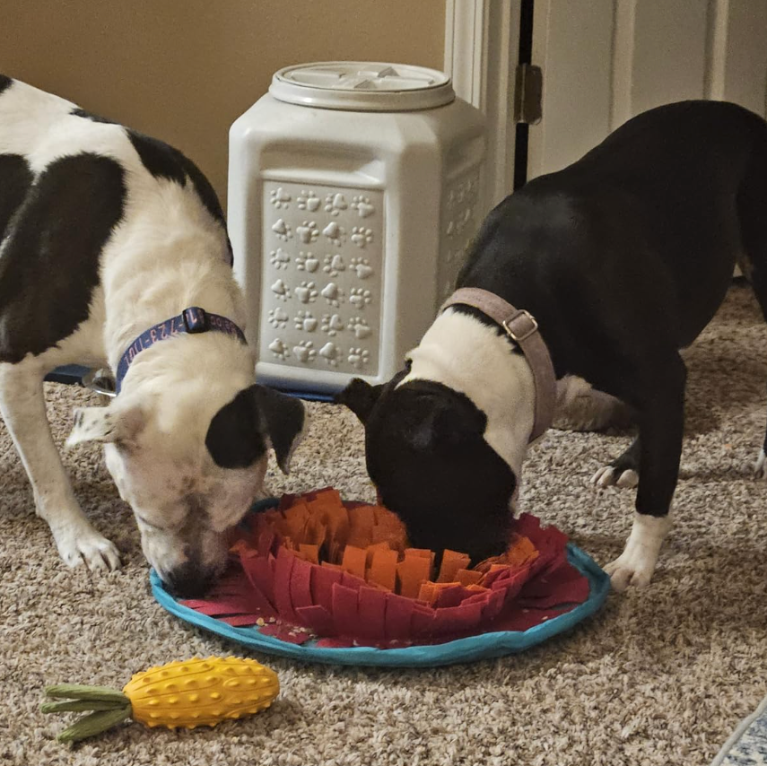 Lotus Snuffle Mat