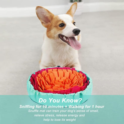 Lotus Snuffle Mat
