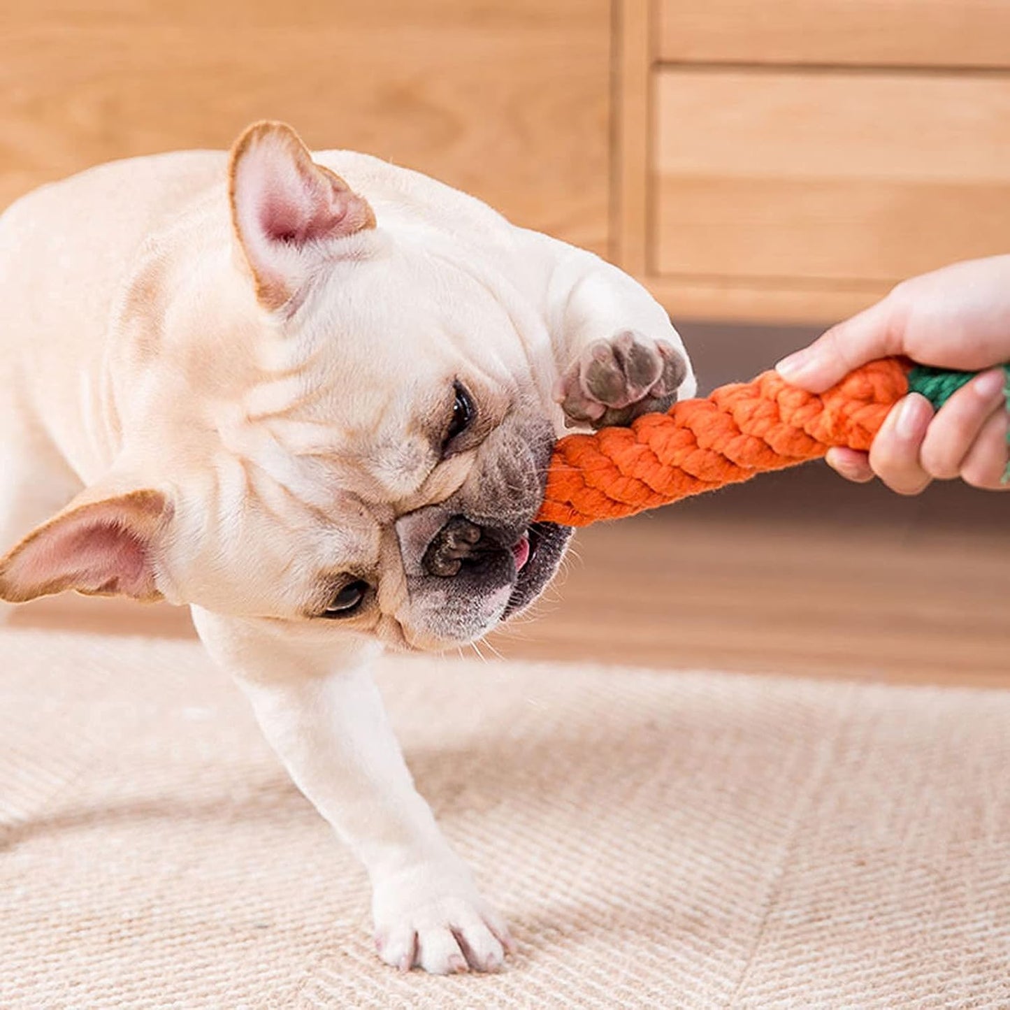 Dog Toys Puppy Teething Chew Toys, Dog Rope Toys, Cat Chew Toys, Safe Braided Rabbit Toys Healthy Gift