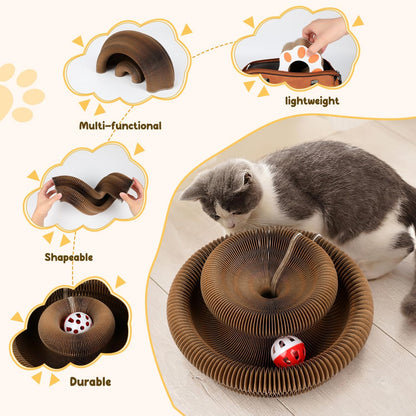 Kitty Organ Scratching Board™