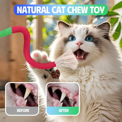 Silvervine Cat Chew Toys for Dental Care