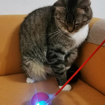 Rechargeable Interactive Rolling Ball Chase Toy