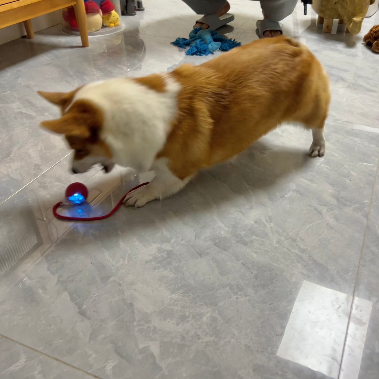 Rechargeable Interactive Rolling Ball Chase Toy