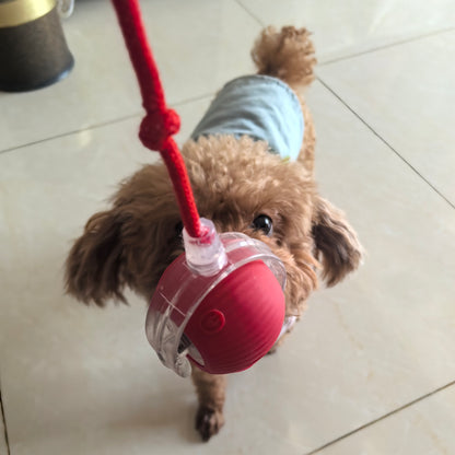 Rechargeable Interactive Rolling Ball Chase Toy