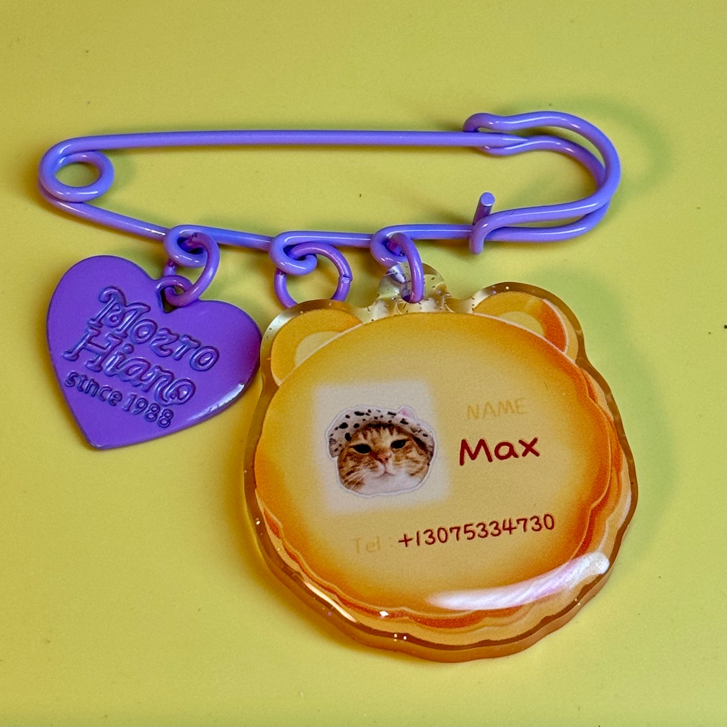 Handmade DIY Cat/Dog Key Chain/ID Card