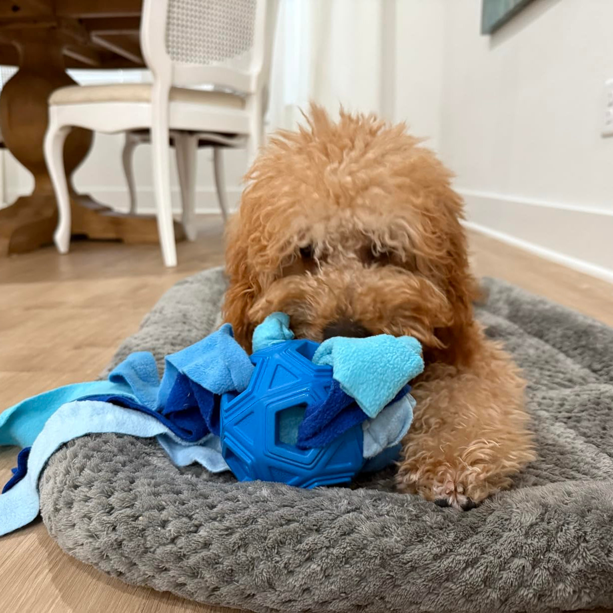 Snuffle Puzzle Ball